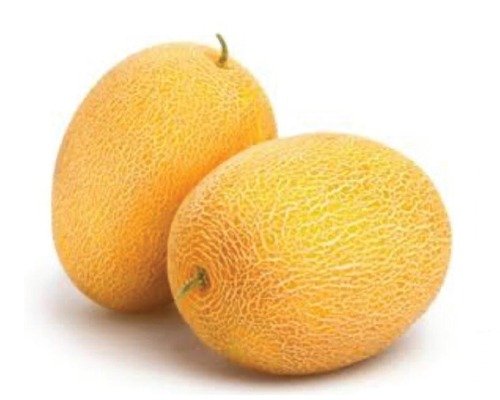 mm art 12 (muskmelon) mm art 12 (muskmelon)