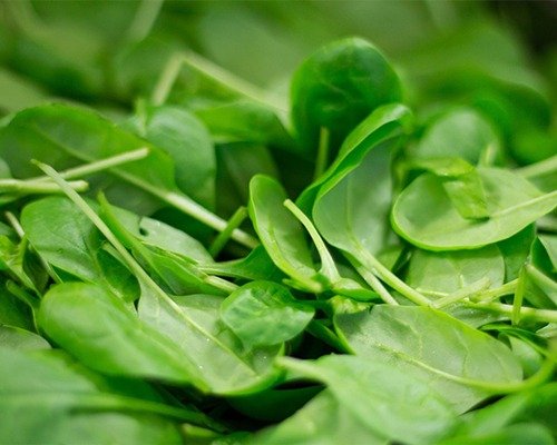 imgi 28 vegetable item 8 28 04 2024 13 18 44