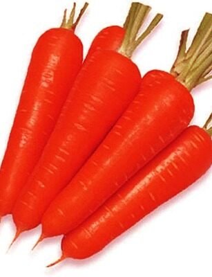 F-1 HYB SENORITA (Nantes Types Carrot)