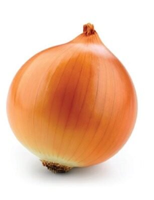 Globe Ultra (Onion)
