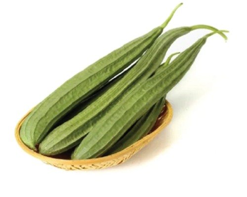 imgi_2_Island (F-1 HYB) Ridge Gourd-07-04-2024-07-16-27 Island (F-1 HYB)