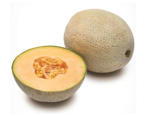 imgi_2_MM Art-9 (Muskmelon)-10-04-2024-14-19-13 MM Art-9 (Muskmelon)