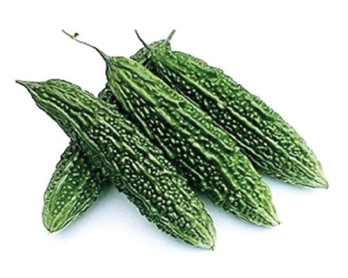 imgi_2_Super (F1 - HYB) BITTER GOURDS-09-04-2024-19-05-52 Super (F1 - HYB)