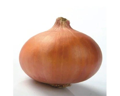 imgi_2_World 21 (Onion)-10-04-2024-16-51-30 World 21