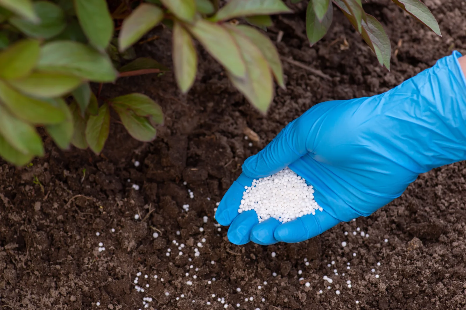 fertilizer