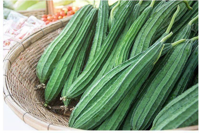 50 p ridgegourd a782 paudha original imafa272k4zztb6s 832x